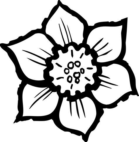 Dibujos para colorear de flores primavera: Aprende como Dibujar y Colorear Fácil, dibujos de Flores De Primavera, como dibujar Flores De Primavera para colorear e imprimir