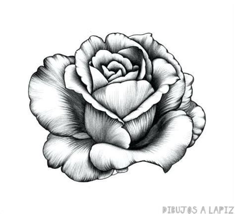 磊 Dibujos de rosas【+30】Fáciles y Gratis: Aprender a Dibujar Fácil con este Paso a Paso, dibujos de Flores En 3D, como dibujar Flores En 3D para colorear e imprimir