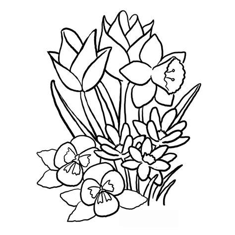 Dibujos de flores grandes para colorear: Dibujar y Colorear Fácil con este Paso a Paso, dibujos de Flores Grandes, como dibujar Flores Grandes para colorear