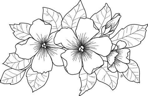 Dibujos de flores hermosas para colorear: Dibujar Fácil con este Paso a Paso, dibujos de Flores Hermosas, como dibujar Flores Hermosas para colorear