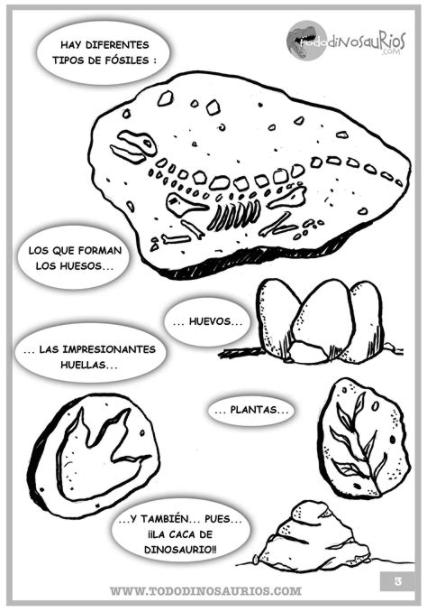 Dibujos de dinosaurios para colorear: Los fósiles | Tipos: Dibujar y Colorear Fácil con este Paso a Paso, dibujos de Fosiles De Dinosaurios, como dibujar Fosiles De Dinosaurios para colorear e imprimir