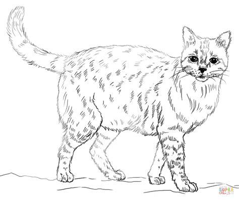 Como Dibujar Un Gato Realista: Aprender a Dibujar Fácil, dibujos de Gato Realista, como dibujar Gato Realista para colorear