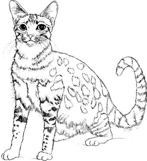 Dibujos de Gatos para dibujar con niños - DIBUJOS PARA: Aprende como Dibujar Fácil con este Paso a Paso, dibujos de Gatos Realistas, como dibujar Gatos Realistas para colorear e imprimir