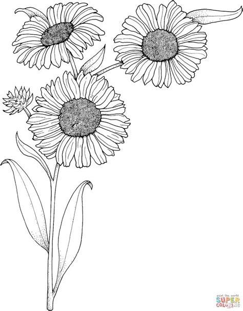 Realistic Sunflowers coloring page | SuperColoring.com: Aprende como Dibujar y Colorear Fácil, dibujos de Girasoles Realistas, como dibujar Girasoles Realistas para colorear e imprimir