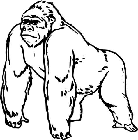 Dibujos de gorila para colorear: Aprende como Dibujar Fácil, dibujos de Gorila, como dibujar Gorila paso a paso para colorear
