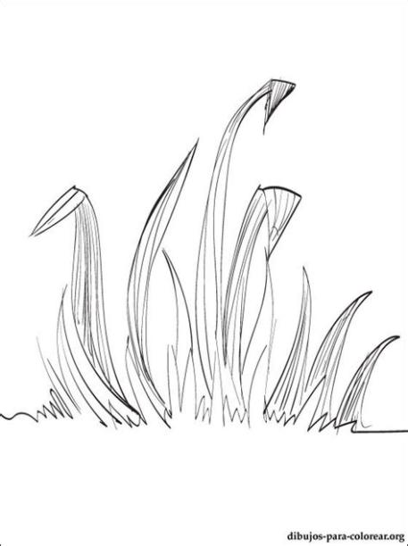 Dibujo de hierba para pintar | Dibujos para colorear: Dibujar Fácil con este Paso a Paso, dibujos de Hierbas, como dibujar Hierbas para colorear