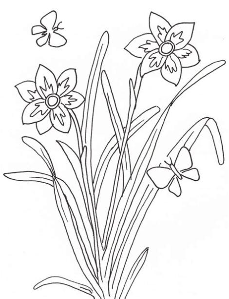 Imágenes de hierbas para colorear - Imagui: Dibujar Fácil con este Paso a Paso, dibujos de Hierva, como dibujar Hierva para colorear e imprimir