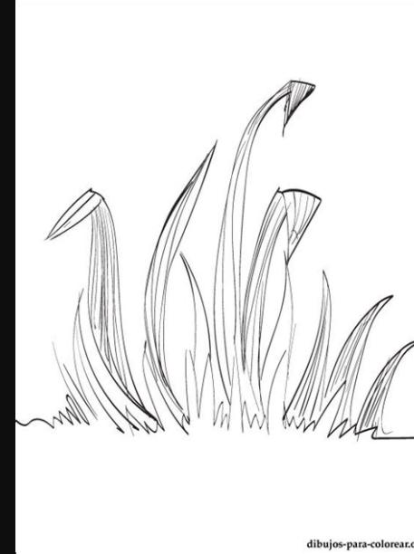 Una hierba para colorear - Imagui: Aprende como Dibujar Fácil, dibujos de Hierva, como dibujar Hierva para colorear