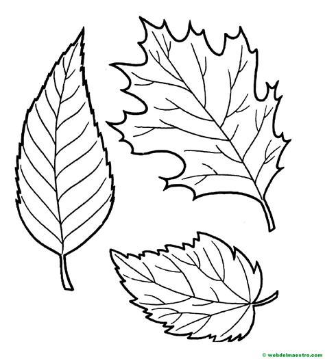hojas otoño colorear- Web del maestro: Aprender como Dibujar y Colorear Fácil, dibujos de Hojas De Otoño, como dibujar Hojas De Otoño para colorear
