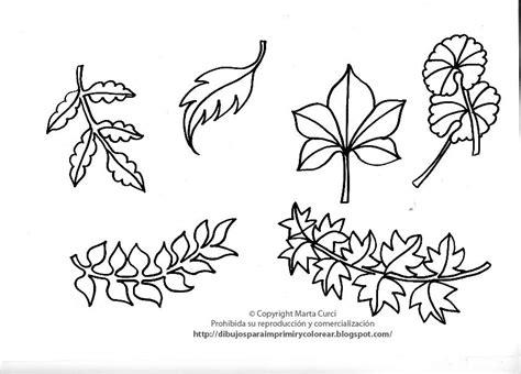 Dibujos para imprimir y colorear gratis para niños: Aprende a Dibujar y Colorear Fácil, dibujos de Hojas De Plantas, como dibujar Hojas De Plantas paso a paso para colorear
