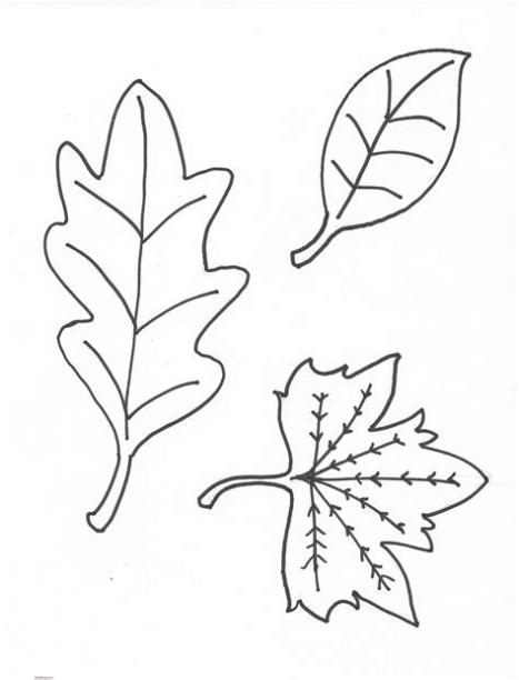 Dibujos de hojas para colorear: Dibujar Fácil, dibujos de Hojas De Plantas, como dibujar Hojas De Plantas para colorear