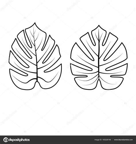 Tropical Leaves Collection. Ilustración vectorial: Aprende a Dibujar y Colorear Fácil, dibujos de Hojas Tropicales, como dibujar Hojas Tropicales paso a paso para colorear