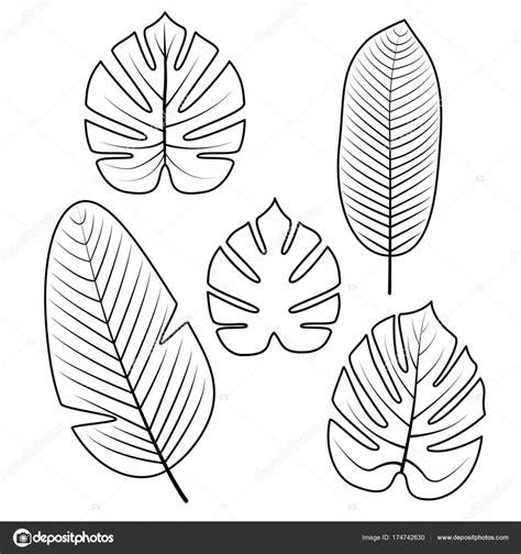 Imágenes: hojas tropicales dibujo | Colección de hojas: Dibujar Fácil con este Paso a Paso, dibujos de Hojas Tropicales, como dibujar Hojas Tropicales para colorear