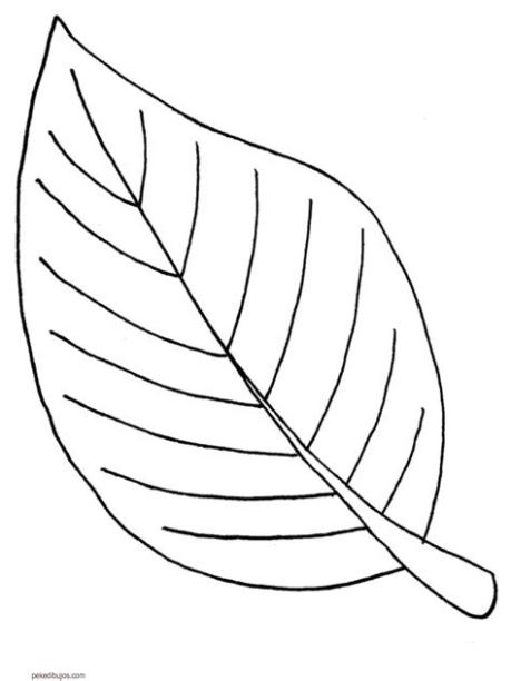 Dibujos de hojas para colorear: Dibujar y Colorear Fácil, dibujos de Hojos, como dibujar Hojos paso a paso para colorear