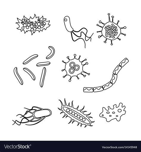  Top   imagen dibujos de hongos y bacterias