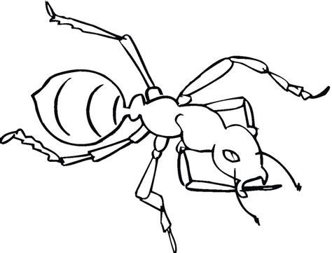 Dibujos de HORMIGAS (Para Colorear y Pintar): Dibujar Fácil, dibujos de Hormiga, como dibujar Hormiga para colorear