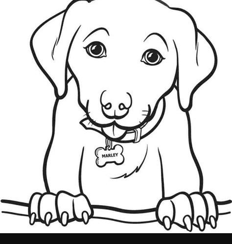 Perros para colorear para niños. Imprimir en línea gratis!: Aprende como Dibujar Fácil con este Paso a Paso, dibujos de La Boca De Un Perro, como dibujar La Boca De Un Perro paso a paso para colorear