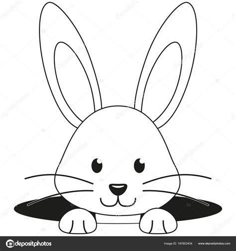 Imágenes: cara conejo para colorear | Icono de agujero de: Aprende como Dibujar Fácil, dibujos de La Cabeza De Un Conejo, como dibujar La Cabeza De Un Conejo para colorear e imprimir