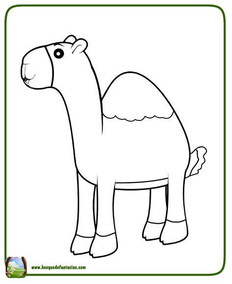 99 DIBUJOS DE CAMELLOS ® Camellos para colorear infantiles: Dibujar Fácil, dibujos de La Cara De Un Camello, como dibujar La Cara De Un Camello paso a paso para colorear
