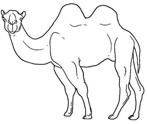 Como dibujar un camello - Imagui: Aprende como Dibujar y Colorear Fácil, dibujos de La Cara De Un Camello, como dibujar La Cara De Un Camello para colorear