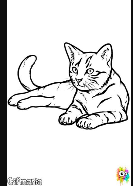 Dibujo de gato realista para Colorear | Dibujos de gatos: Aprende a Dibujar Fácil con este Paso a Paso, dibujos de La Cara De Un Gato Realista, como dibujar La Cara De Un Gato Realista paso a paso para colorear
