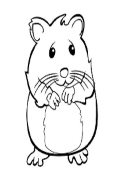 Hamster para colorear - Dibujosparacolorear.eu: Dibujar Fácil con este Paso a Paso, dibujos de La Cara De Un Hamster, como dibujar La Cara De Un Hamster paso a paso para colorear