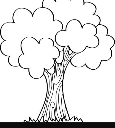 Dibujos de árboles - Dibujos de árboles de otoño: Dibujar Fácil con este Paso a Paso, dibujos de La Copa De Un Arbol, como dibujar La Copa De Un Arbol paso a paso para colorear