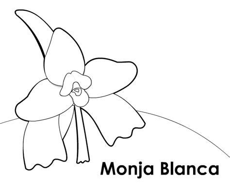 Blog de Biologia: Colorear Monja Blanca: Dibujar y Colorear Fácil con este Paso a Paso, dibujos de La Monja Blanca, como dibujar La Monja Blanca paso a paso para colorear