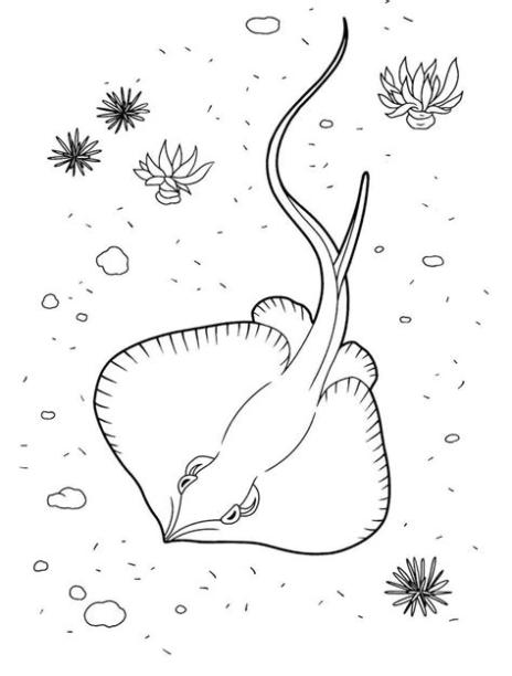 Dibujos de Animales marinos para colorear - Mundo submarino: Aprender como Dibujar y Colorear Fácil, dibujos de La Raya Del Ojo, como dibujar La Raya Del Ojo para colorear e imprimir