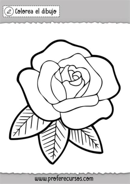 Rosa para Colorear Dibujo - Profe Recursos: Aprende como Dibujar y Colorear Fácil, dibujos de La Rosa, como dibujar La Rosa para colorear