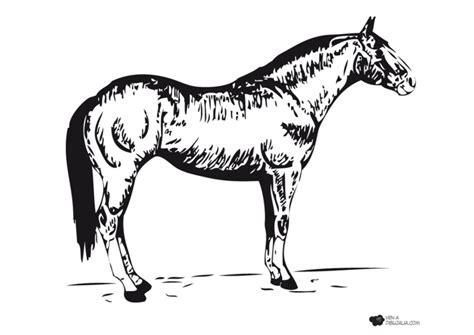 Tags - caballo - Dibujalia - Dibujos y Fichas para Colorear: Dibujar Fácil, dibujos de La Sombra De Un Caballo, como dibujar La Sombra De Un Caballo para colorear e imprimir