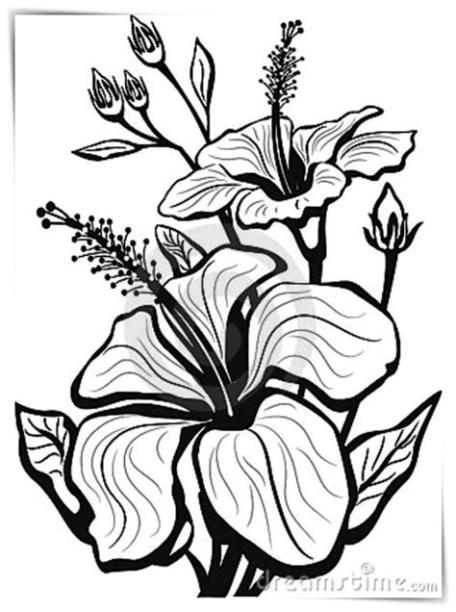 Pin en Imágenes de FLORES para Colorear: Dibujar y Colorear Fácil, dibujos de Lápiz Flores, como dibujar Lápiz Flores para colorear
