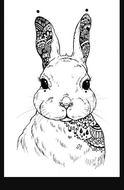 🥇 Cómo dibujar animales - 【9 pasos】¡MUY FACIL!: Aprende como Dibujar Fácil con este Paso a Paso, dibujos de Lapiz Un Conejo Realista, como dibujar Lapiz Un Conejo Realista para colorear
