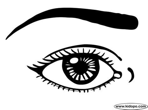Partes del ojo para pintar - Imagui: Dibujar Fácil, dibujos de Las Pestañas De Un Ojo, como dibujar Las Pestañas De Un Ojo para colorear e imprimir