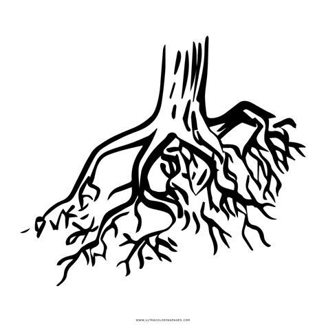 Dibujo De Raíces De árbol Para Colorear - Ultra Coloring: Aprender a Dibujar Fácil, dibujos de Las Raices De Un Arbol, como dibujar Las Raices De Un Arbol para colorear e imprimir