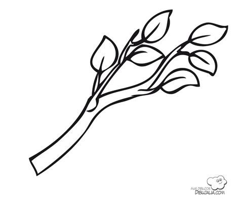 10+ Dibujo De Una Rama Para Colorear | Ayayhome: Dibujar Fácil con este Paso a Paso, dibujos de Las Ramas De Un Arbol, como dibujar Las Ramas De Un Arbol para colorear e imprimir