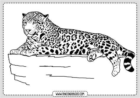 Dibujo de Leopardo facil para colorear - Rincon Dibujos: Dibujar y Colorear Fácil con este Paso a Paso, dibujos de Leopardos, como dibujar Leopardos paso a paso para colorear