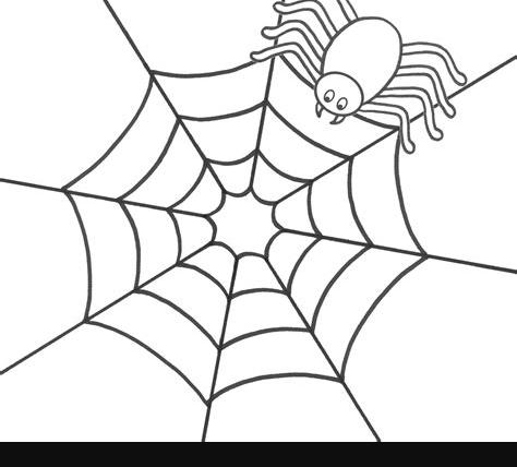 Araña (Animales) – Colorear dibujos gratis: Dibujar y Colorear Fácil con este Paso a Paso, dibujos de Los Ojos De Una Araña, como dibujar Los Ojos De Una Araña paso a paso para colorear
