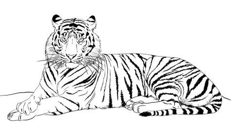 TIGRE » Pinta al felino más grande mientras aprendes de él: Dibujar y Colorear Fácil con este Paso a Paso, dibujos de Los Pelos De Un Tigre, como dibujar Los Pelos De Un Tigre paso a paso para colorear