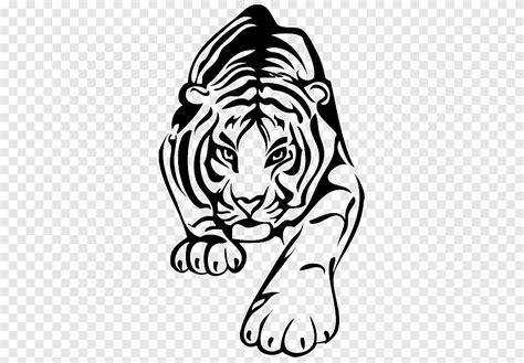 Libro para colorear etiqueta de la pared. tigre blanco: Aprender como Dibujar Fácil con este Paso a Paso, dibujos de Los Pelos De Un Tigre, como dibujar Los Pelos De Un Tigre para colorear