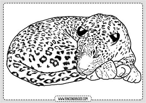 Dibujos de Leopardos para colorear | Laminas Gratis: Dibujar Fácil, dibujos de Manchas De Leopardo, como dibujar Manchas De Leopardo para colorear e imprimir