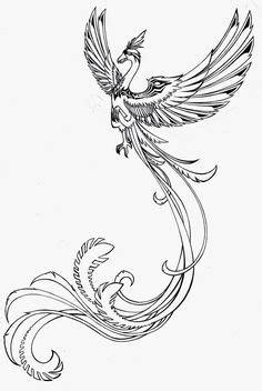 Las 55 mejores imágenes de ave fenix | Tatuajes de aves: Aprende como Dibujar y Colorear Fácil, dibujos de Manga Studio Phoenix, como dibujar Manga Studio Phoenix paso a paso para colorear