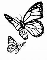 110 dibujos de Mariposas para colorear | Oh Kids | Page 10: Dibujar Fácil con este Paso a Paso, dibujos de Mariposa, como dibujar Mariposa paso a paso para colorear