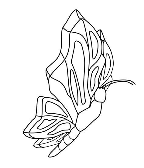 Mariposas para colorear. pintar e imprimir: Aprender a Dibujar Fácil con este Paso a Paso, dibujos de Mariposa En Cara, como dibujar Mariposa En Cara para colorear
