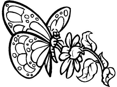 Dibujos de mariposas bonitas para colorear: Dibujar Fácil, dibujos de Mariposas Bonitas, como dibujar Mariposas Bonitas para colorear