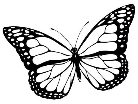 Pin by Indara Paredes on Монохром | Butterfly clip: Dibujar y Colorear Fácil, dibujos de Mariposas En La Pared, como dibujar Mariposas En La Pared para colorear