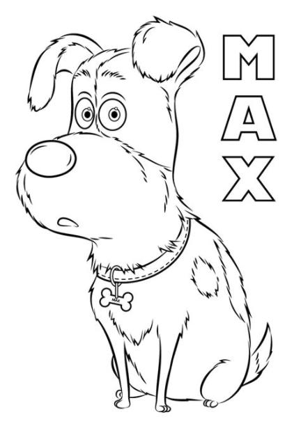 Dibujos de La Vida Secreta De Las Mascotas para colorear e: Aprender como Dibujar Fácil, dibujos de Mascotas Anime, como dibujar Mascotas Anime paso a paso para colorear