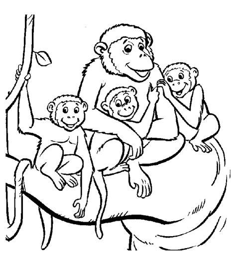 Muchas imágenes de Monos para pintar con los pequeños: Dibujar Fácil, dibujos de Monos Realistas, como dibujar Monos Realistas paso a paso para colorear