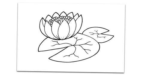 Un girasol - Dibujos con flores para colorear - Dibujar: Aprende como Dibujar y Colorear Fácil, dibujos de Nenufares, como dibujar Nenufares paso a paso para colorear