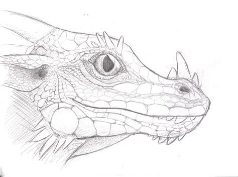 Ojos de dragon para colorear - Imagui: Dibujar Fácil, dibujos de Ojos De Dragon, como dibujar Ojos De Dragon para colorear e imprimir